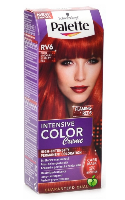 Palette ICC intenzv krmhajfestk RV6 Bborvrs